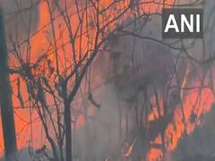 
      
      J-K: Forest fire erupts in Reasi, fire in control now 
      
      