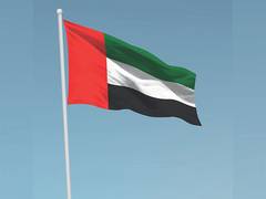 
      
      Sharjah chamber to honour Sharjah excellence award winners
      
      
