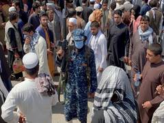 
      
      Food aid only lifeline for millions in Afghanistan: WFP 
      
      