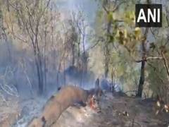 
      
      J-K: Forest fire near NH-144A brought under control 
      
      