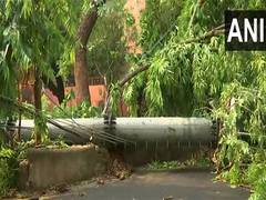 
      
      Mobile tower collapses in Safdarjung Enclave after overnight...
      
      