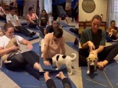 
      
      Australian High Commission marks Int'l Yoga Day in unique way 
      
      