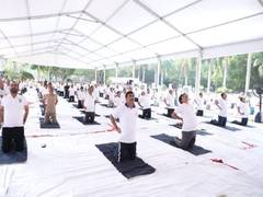 
      
      Civil Aviation Ministry celebrates IDY with enthusiasm
      
      