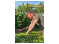 
      
      David Beckham shows off his gardening skills in latest post
      
      