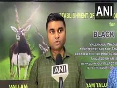 
      
      Madhya Pradesh: Blackbuck found dead in Shajapur
      
      