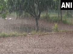 
      
      Rainfall in Chanthal village revives hope for growth of paddy
      
      