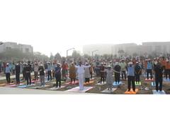 
      
      IIM Rohtak Celebrates the 11th International Day of Yoga
      
      