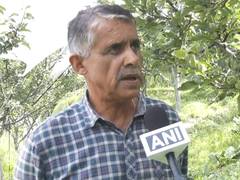 
      
      Apple farmers in Himachal adopt anti-hail nets to protect crop
      
      