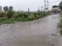 
      
      Haryana: Rain lashes Karnal, more expected
      
      