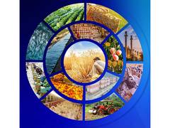 
      
      Rural India is transitioning swiftly from agri-centric economy 
      
      