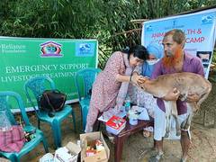 
      
      Reliance Foundation brings critical relief to flood-hit Assam 
      
      