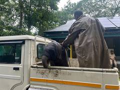 
      
      Elephant calf reunited with mother in Kaziranga
      
      