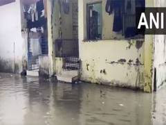 
      
      Gujarat: Heavy rainfall triggers waterlogging in parts of Navsari
      
      