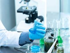 
      
      No link between COVID-19 vaccines and sudden cardiac deaths
      
      