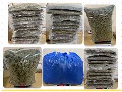 
      
      Mumbai Airport Commissionerate seizures suspected NDPS
      
      