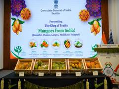 
      
      India's Consulate in Seattle hosts mango tasting event
      
      