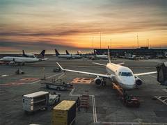 
      
      'Indian aviation industry to report net loss of Rs 30 billion'
      
      