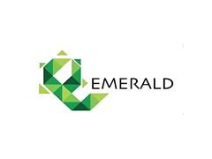 
      
      Emerald Finance Reports 138% YoY Growth in Standalone Net Profit 
      
      
