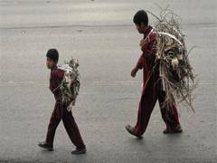 
      
      Pakistan’s child protection crisis deepens amid legal paralysis, 
      
      