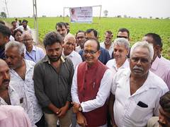
      
      Shivraj Singh Chouhan meets farmers at groundnut fields 
      
      