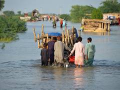 
      
      Monsoon mayhem: Over 200 dead, 560 injured in Pakistan
      
      