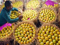 
      
      Gujarat mangoes make mark in international markets
      
      