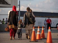 
      
      UAE stops Afghan deportations as US starts visa process
      
      