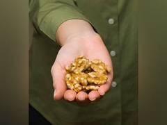 
      
      Walnuts Among Omega-3 Foods Linked to Brain Development Benefits
      
      
