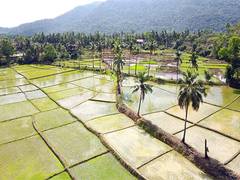 
      
      Indian farmers to benefit most from the UK-India FTA
      
      