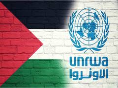 
      
      One in every five children in Gaza suffers from malnutrition: UN
      
      