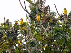 
      
      PM Modi lauds Kaziranga bird census in Assam
      
      