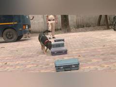 
      
      Special training to Delhi Police Dogs Squad ahead of I Day  
      
      