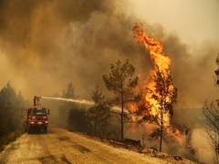 
      
      Turkey wildfires displaces over 1,700 people
      
      