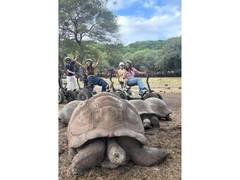 
      
      Jatin Dharna’s Jolly Motion Pictures Unveils Captivating Travel
      
      