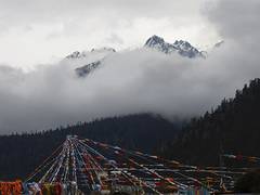 
      
      Tibetan singer detained by China after song praising Dalai Lama
      
      