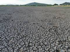 
      
      TN: Thirupparankundram’s major irrigation tank dries up in heat
      
      