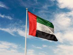 
      
      UAE cementing its leadership in maritime sector
      
      