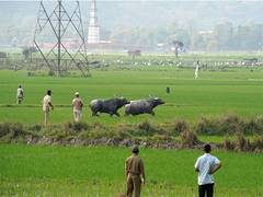 
      
      Assam Forest department gives compensation to 29 farmers 
      
      