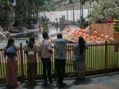 
      
      SeaWorld Abu Dhabi enriches marine knowledge, entertainment
      
      