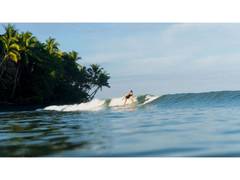 
      
      Costa Rica Surf Camp Offers Waves, Coaching, Coastal Adventure
      
      