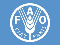 
      
      FAO Food Price Index edges up in July
      
      