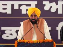 
      
       Punjab 1st to deploy anti-drone systems at international border
      
      