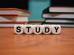 
      
      India emerging as global education hub amid stricter foreign admi
      
      