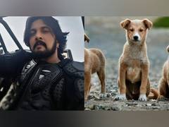 
      
      Kichcha Sudeepa urges to 