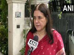
      
      BJP's Maneka Gandhi urges CJI to review Delhi stray dog ruling
      
      