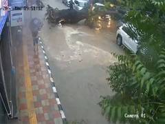
      
      One dead, one injured after a tree fell on two people
      
      