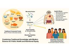 
      
      Fermented food can personalise nutrition for India's diverse 
      
      