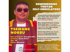 
      
      Tibetan Government-in-Exile remembers monk who self-immolated 
      
      
