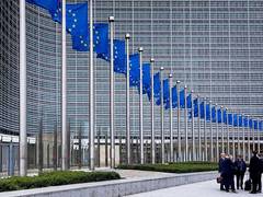 
      
      European leaders welcome President Trump’s efforts to end war in 
      
      