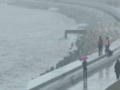 
      
      Flash flood risk in Konkan, Mumbai amid heavy rains
      
      